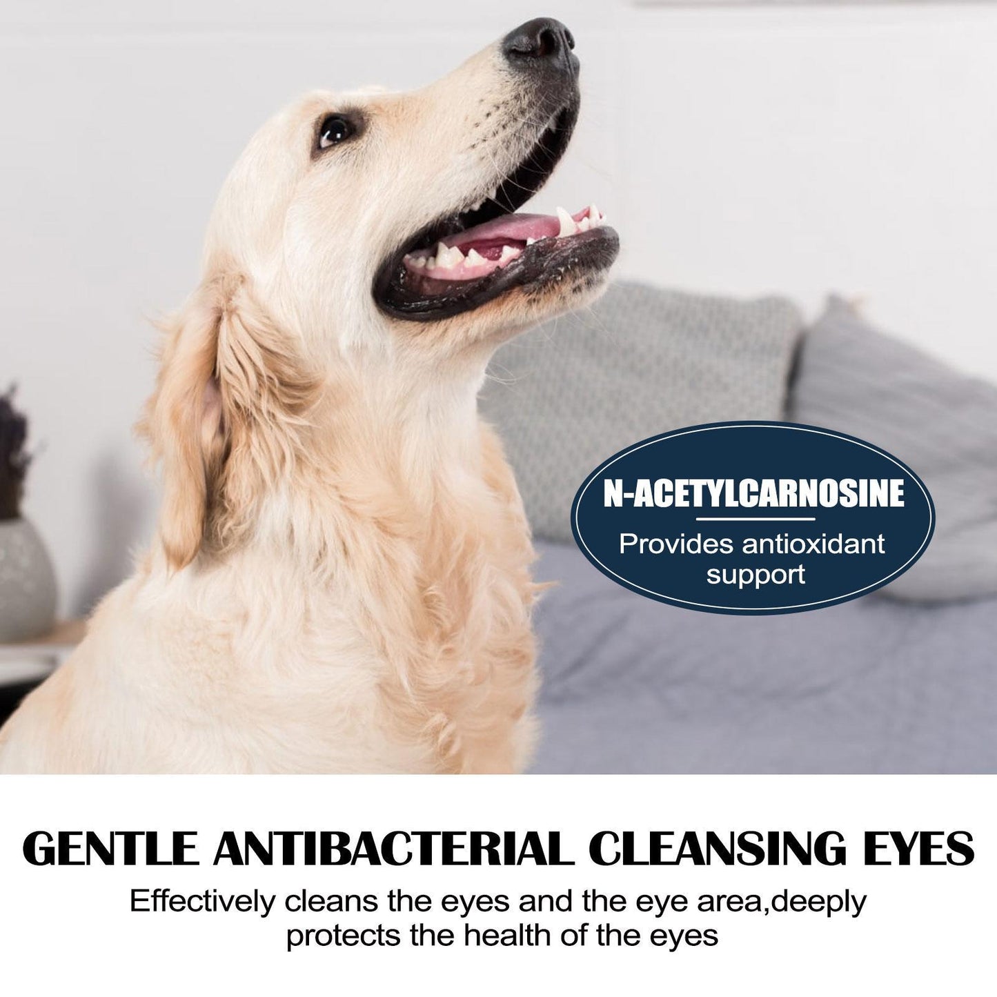 Igbang Pet Eye Drops For Cats And Dogs To Remove Tear Marks, Relieve Itchy Eyes And Clean