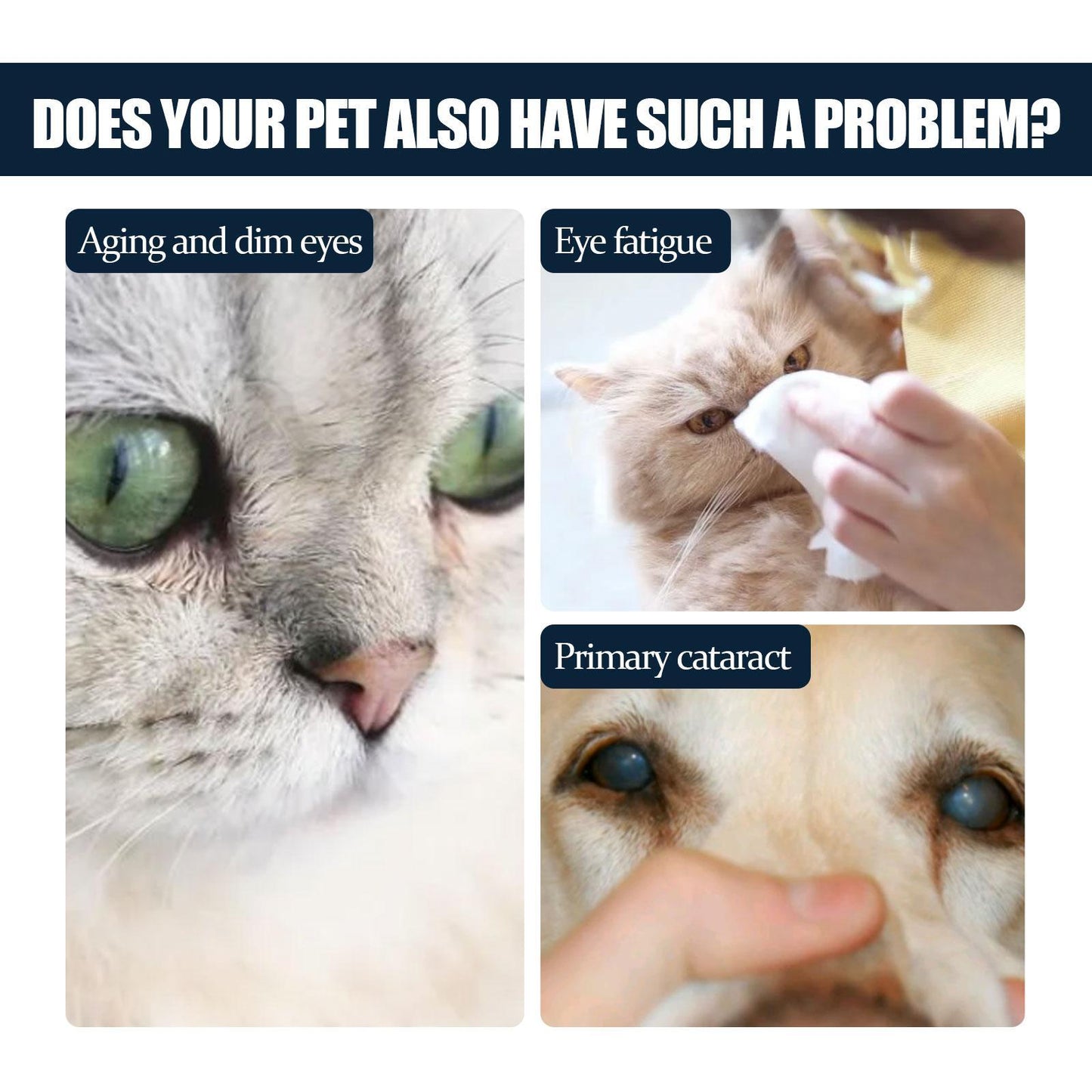 Igbang Pet Eye Drops For Cats And Dogs To Remove Tear Marks, Relieve Itchy Eyes And Clean