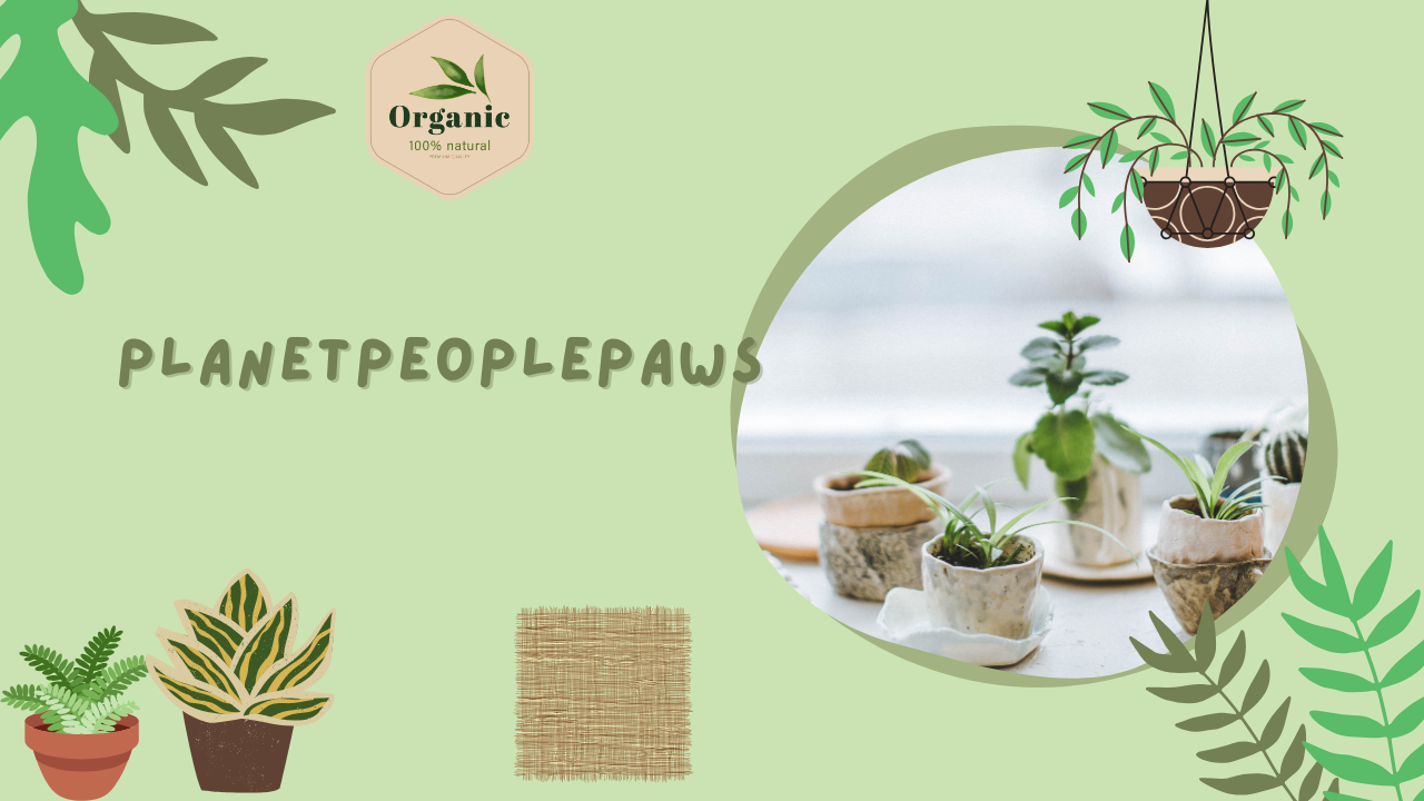 planetpeoplepaws (1)